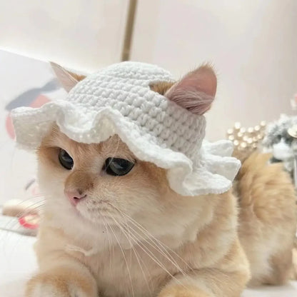 Cute Cat Hat -  Funny Cosplay Pet Party Accessory