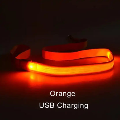 LED Dog Leash - Premium Rechargeable Glow Night Safety Lead