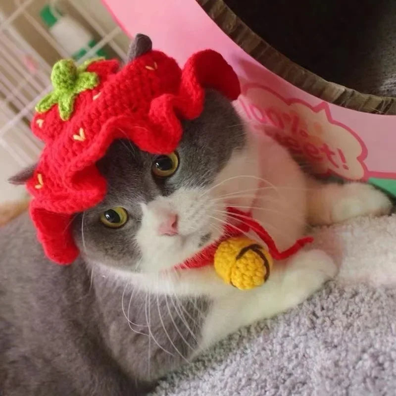 Cute Cat Hat -  Funny Cosplay Pet Party Accessory