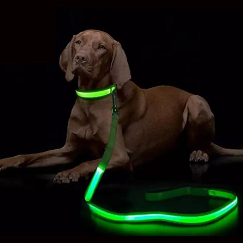 LED Dog Leash - Premium Rechargeable Glow Night Safety Lead