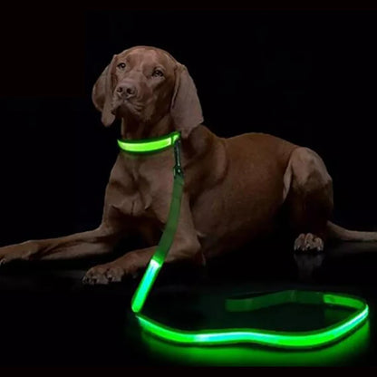 LED Dog Leash - Premium Rechargeable Glow Night Safety Lead