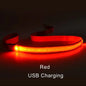 LED Dog Leash - Premium Rechargeable Glow Night Safety Lead
