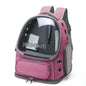 Breathable Transparent Cat Carrier Backpack – Airline Approved