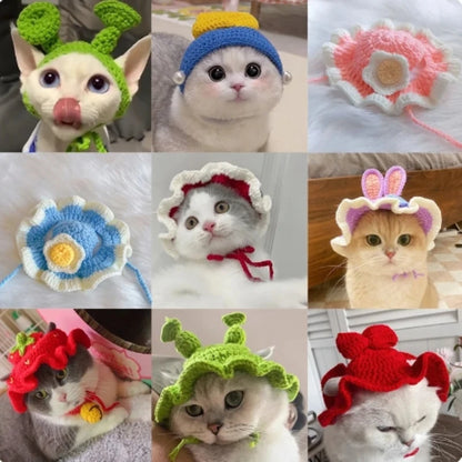 Cute Cat Hat -  Funny Cosplay Pet Party Accessory
