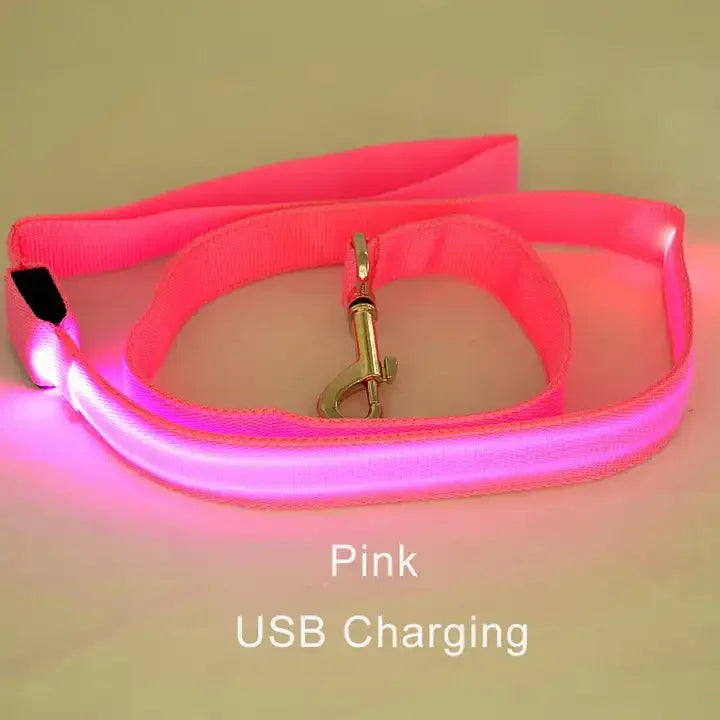 LED Dog Leash - Premium Rechargeable Glow Night Safety Lead