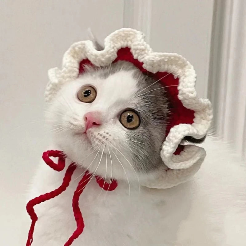 Cute Cat Hat -  Funny Cosplay Pet Party Accessory