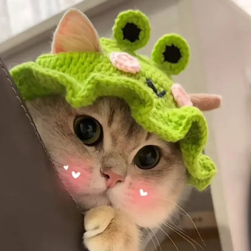 Cute Cat Hat -  Funny Cosplay Pet Party Accessory