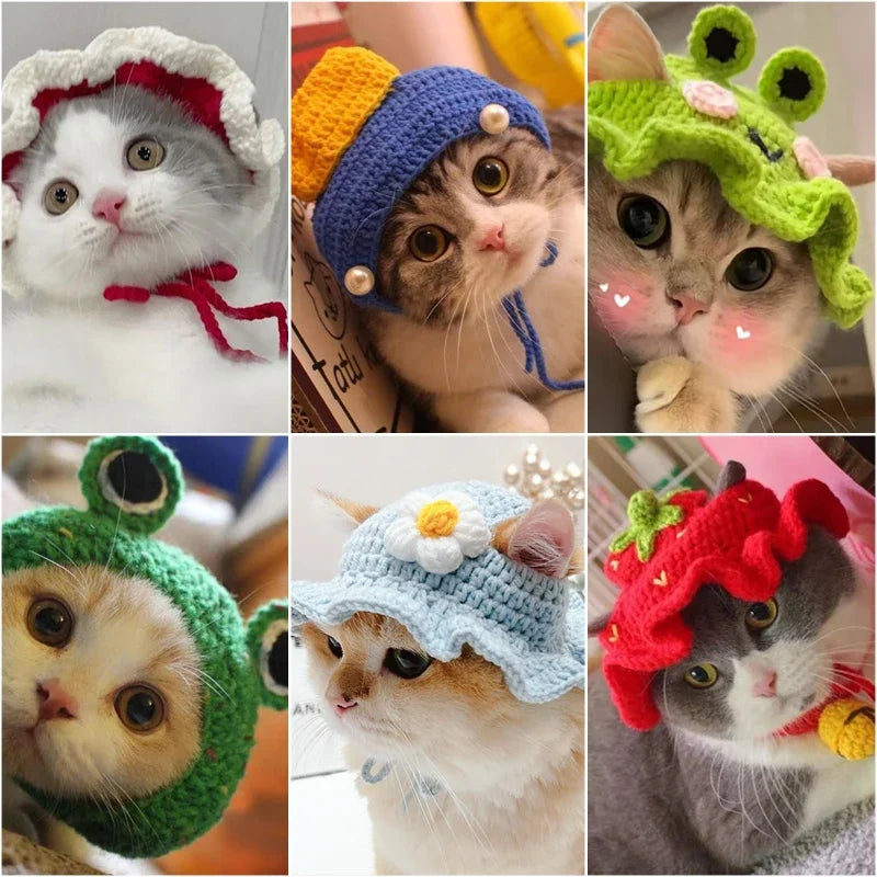 Cute Cat Hat -  Funny Cosplay Pet Party Accessory