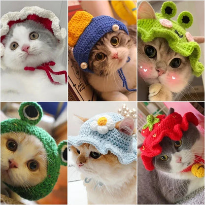 Cute Cat Hat -  Funny Cosplay Pet Party Accessory