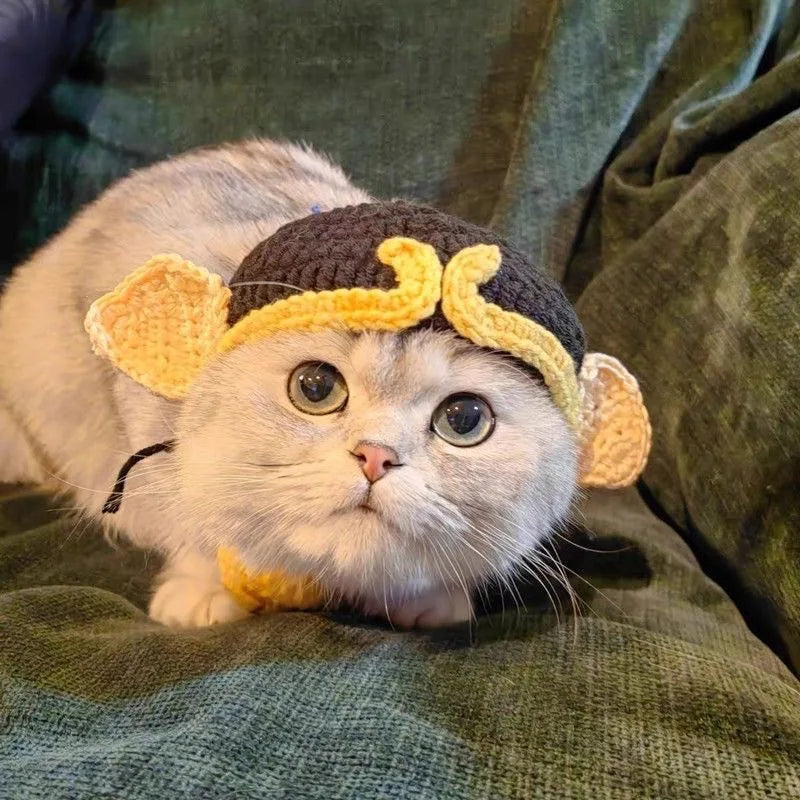 Cute Cat Hat -  Funny Cosplay Pet Party Accessory