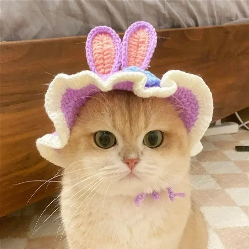 Cute Cat Hat -  Funny Cosplay Pet Party Accessory